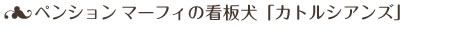 看板犬「カトルシアンズ」