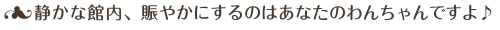 静かな館内、賑やかにするのはあなたのわんちゃんですよ♪